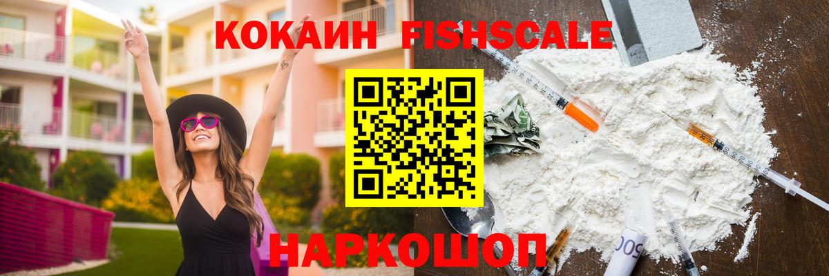 COCAIN Fish Scale  Вход с VPN  Саяногорск 