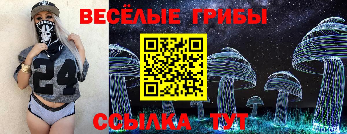 Псилоцибиновые грибы ЛСД Саяногорск